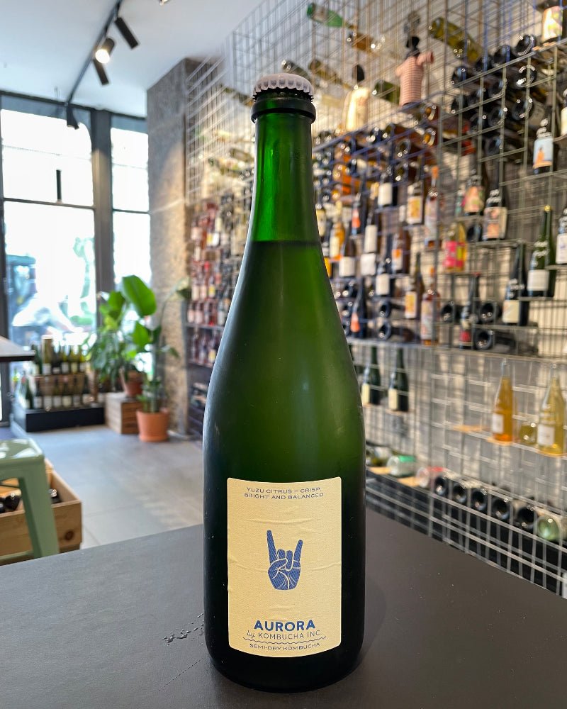 Aurora - kombucha - budovin.dk