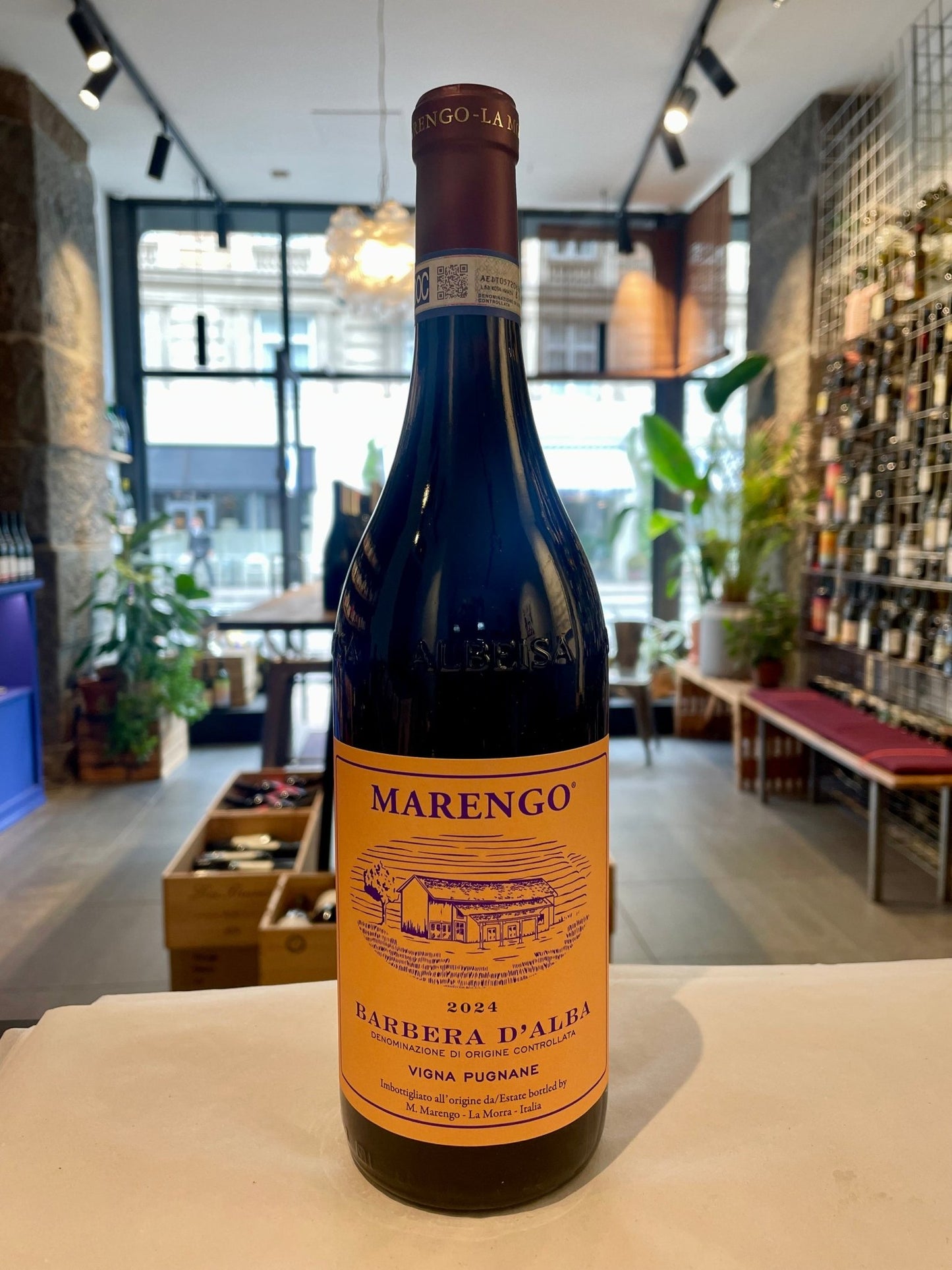Barbera d'Alba - Pugnane 2024 - budovin.dk