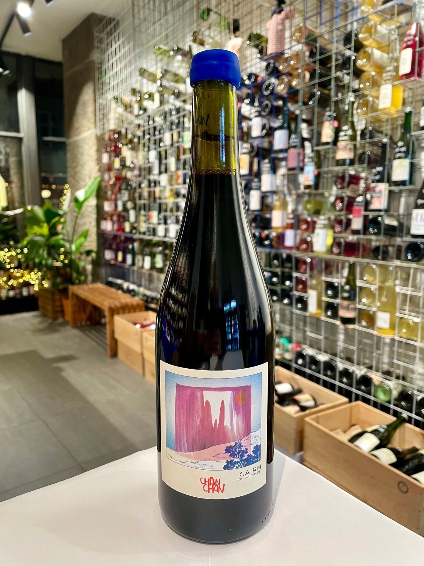 Cairn 2024 - ren Syrah fra Roussillon - budovin.dk