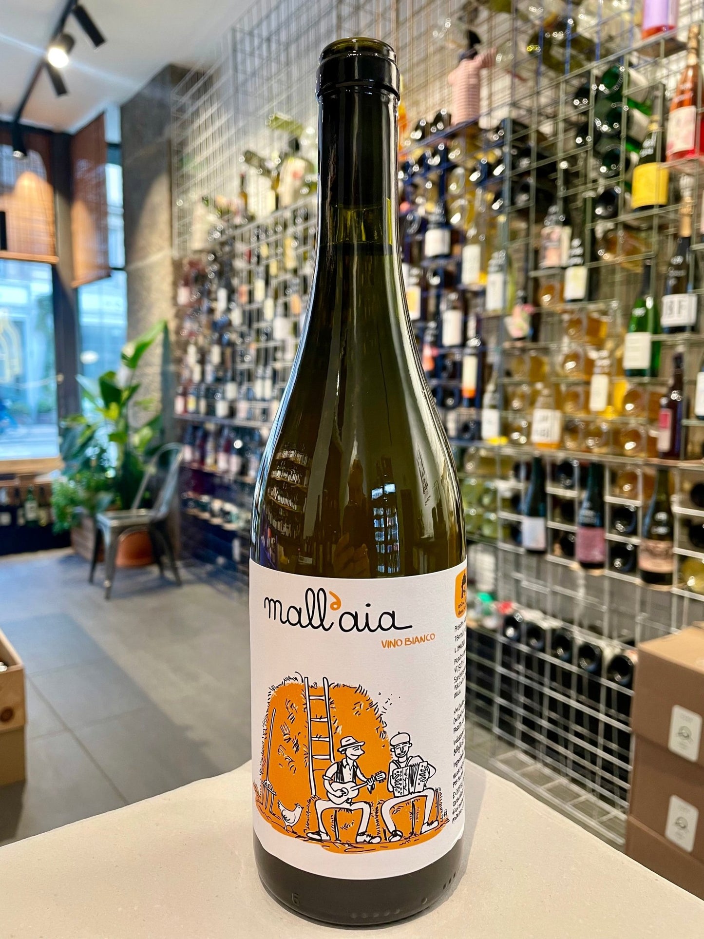 Mall’Aia 2024 - budovin.dk