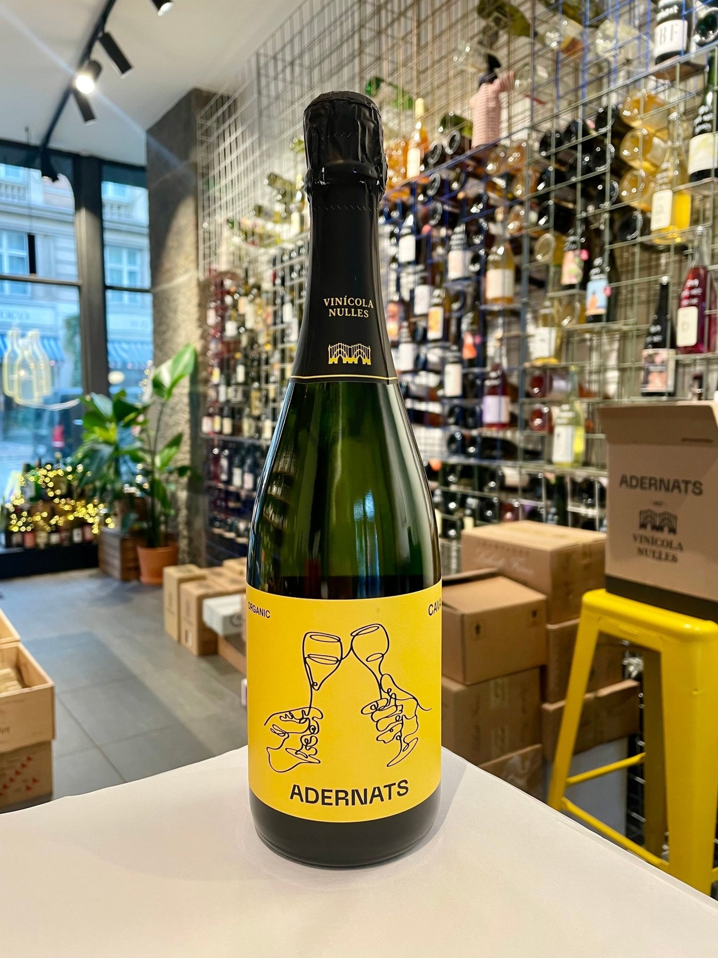 NV Cava Brut Nature - budovin.dk