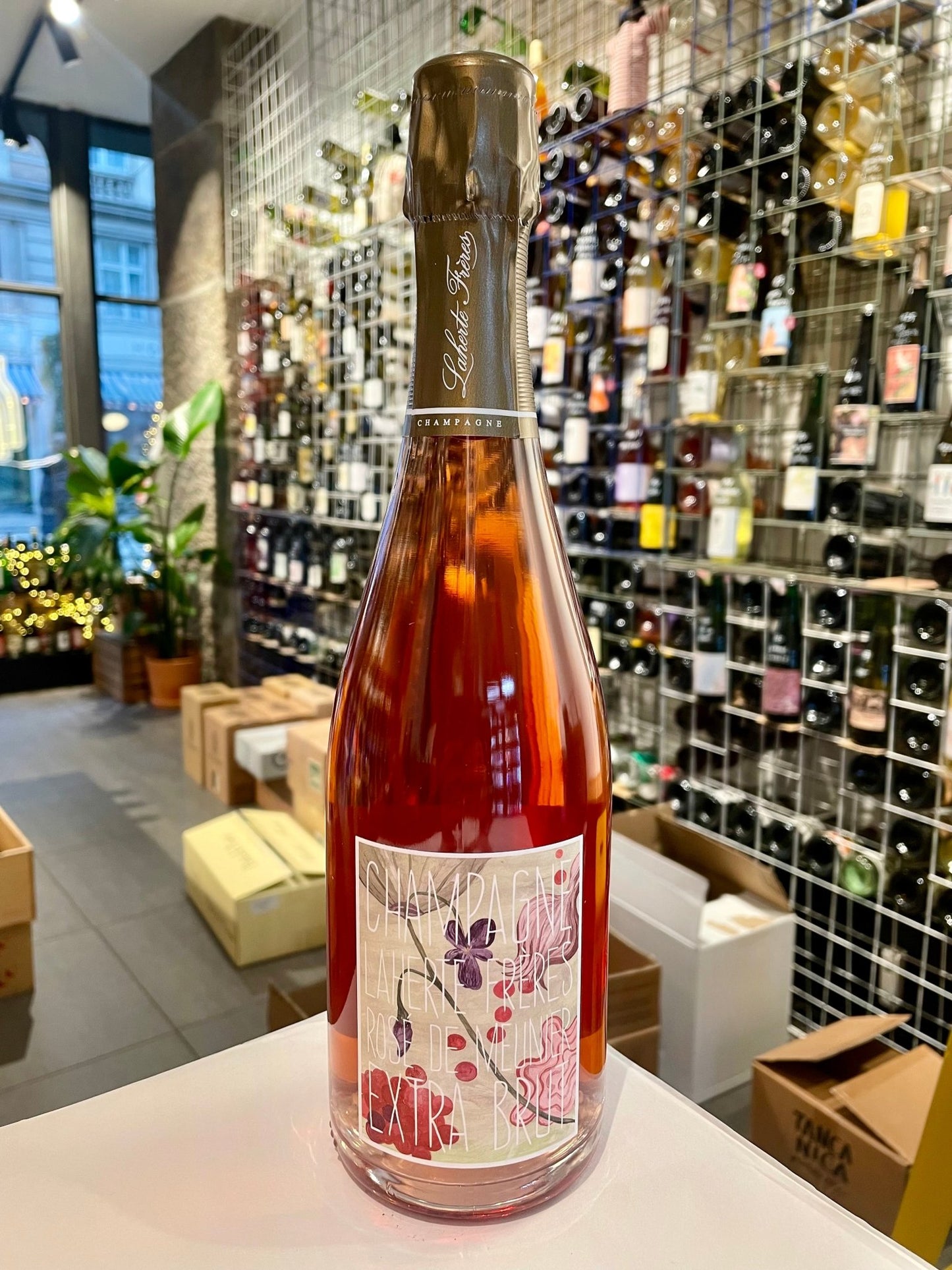 NV Rosé de Meunier - Champagne - budovin.dk