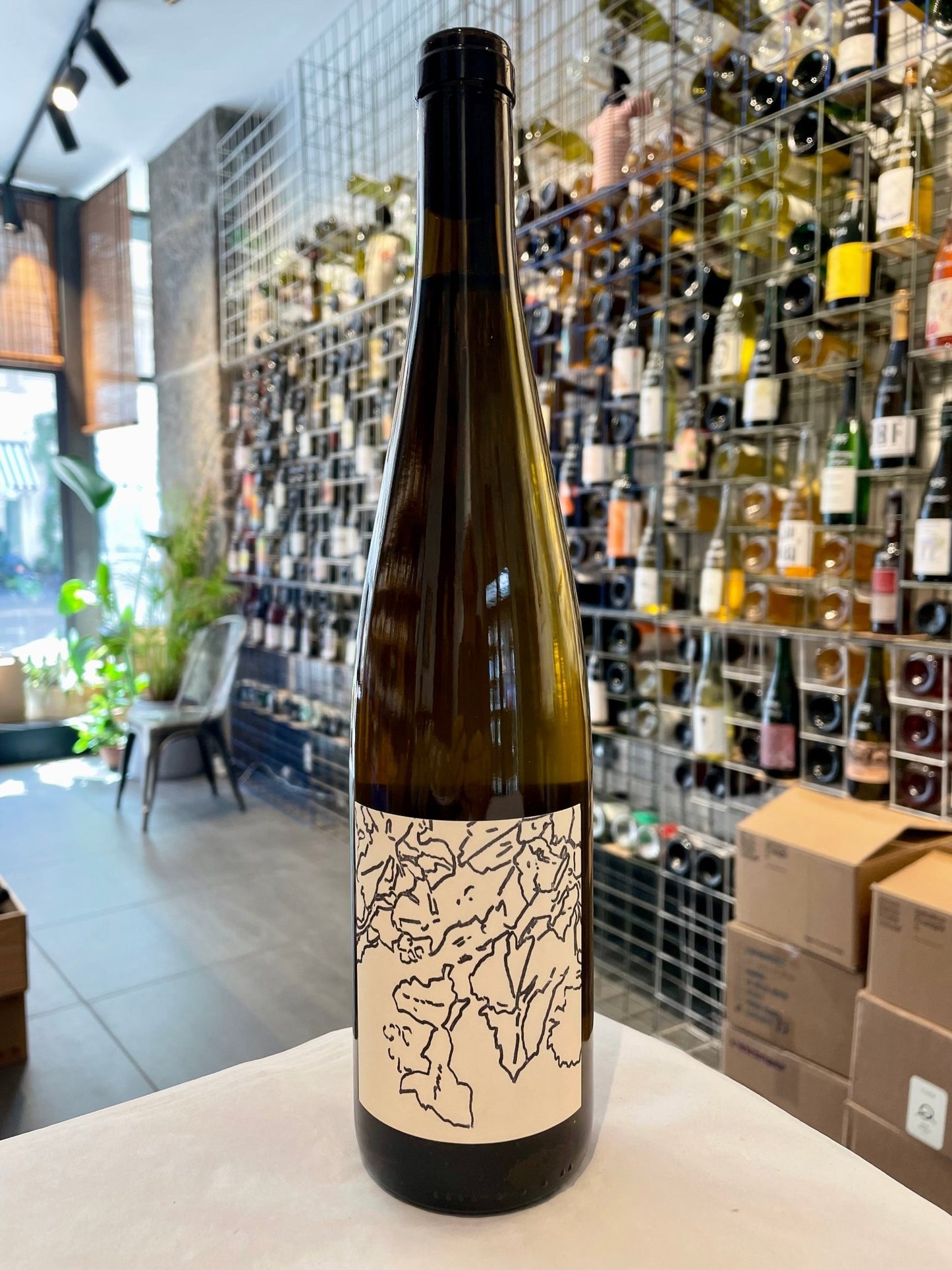 Riesling 2023/24 - budovin.dk