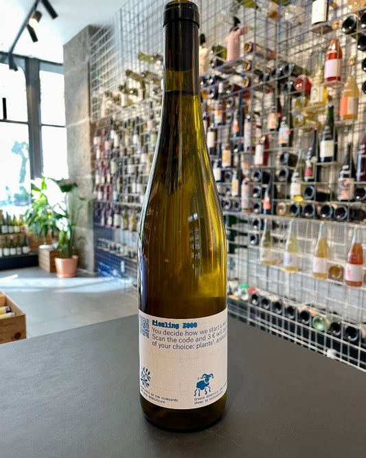 Riesling 3000 (2023)