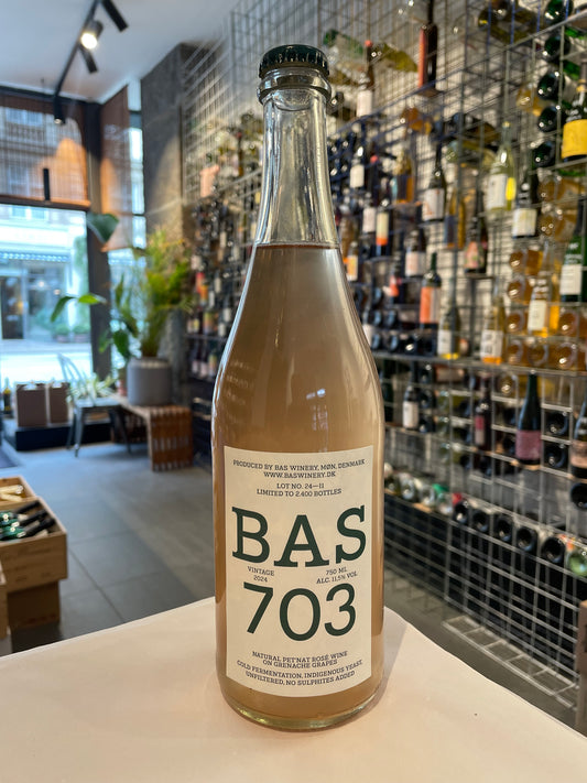 BAS 703, 2024