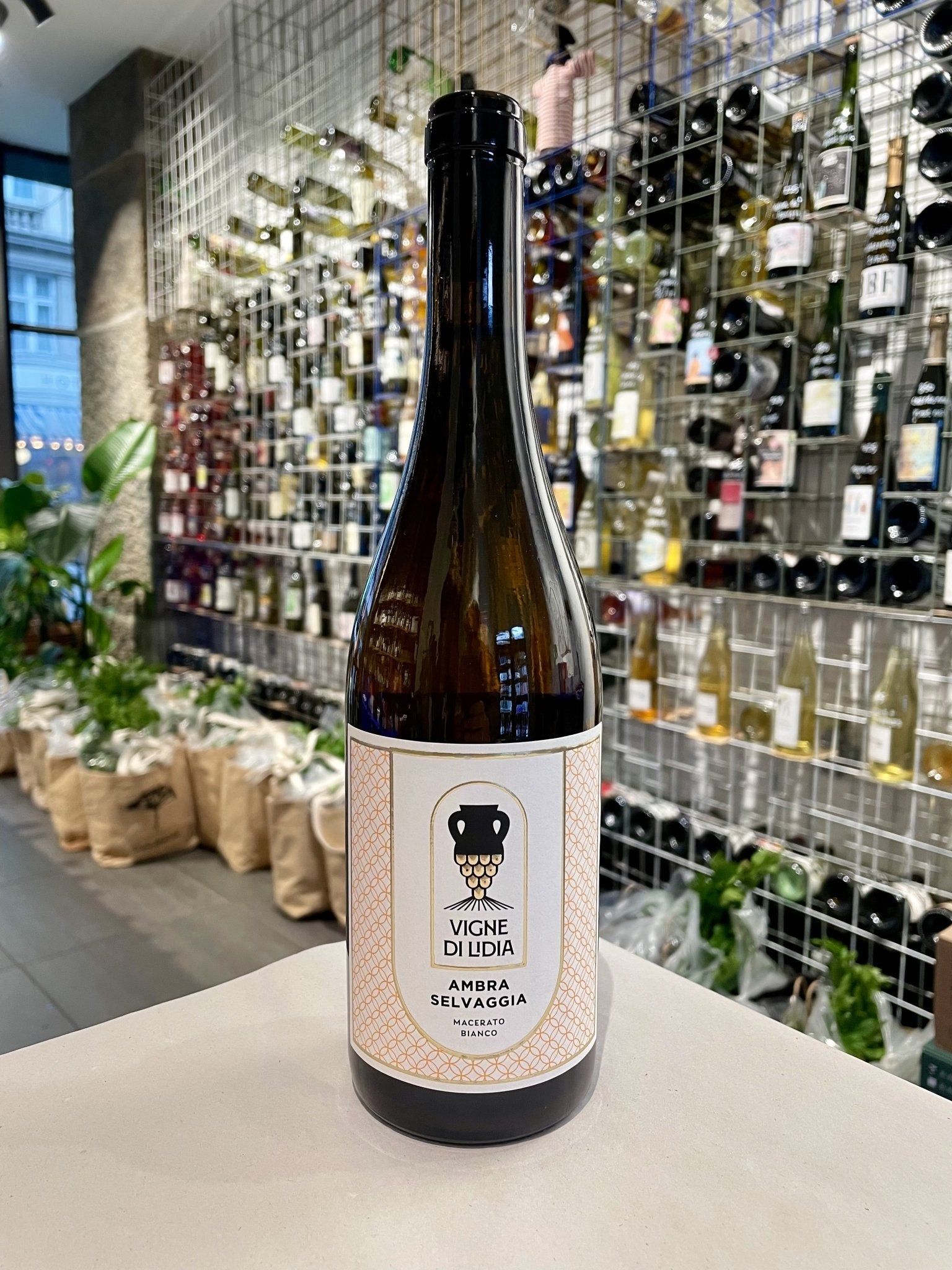 Ambra Selvaggia 2024 (Orange) - budovin.dk