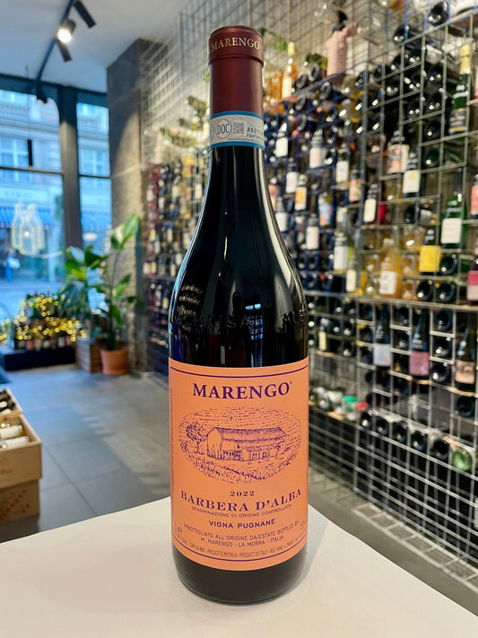 Barbera d'Alba - Pugnane 2022 - budovin.dk