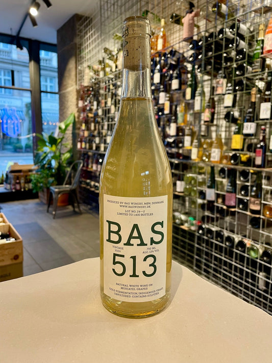 BAS 513, 2024 - budovin.dk