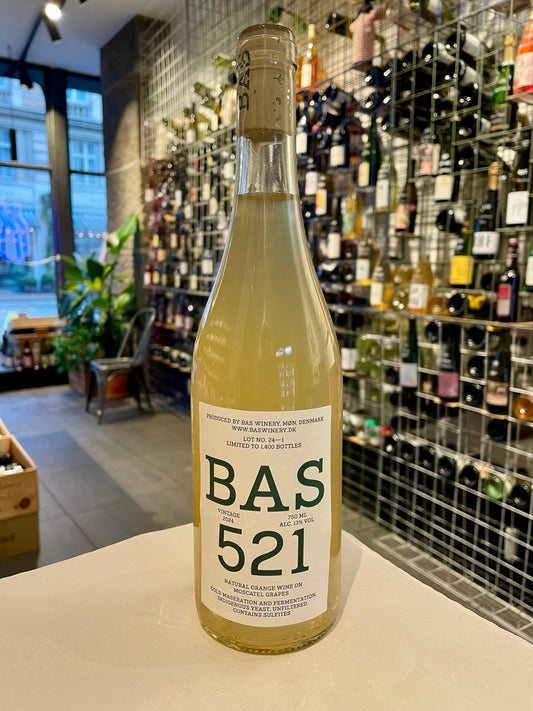 BAS 521, 2024 - budovin.dk