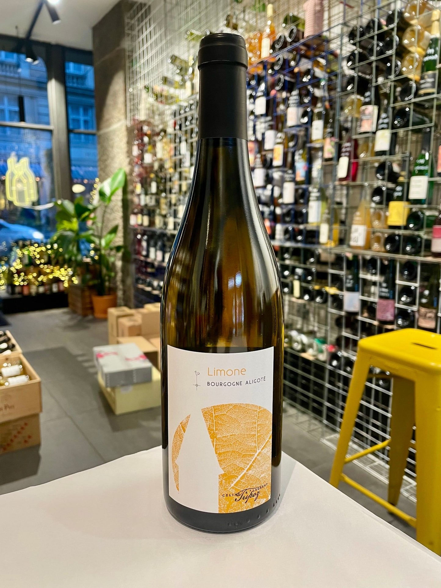 Bourgogne Aligoté - Limone 2024 - budovin.dk