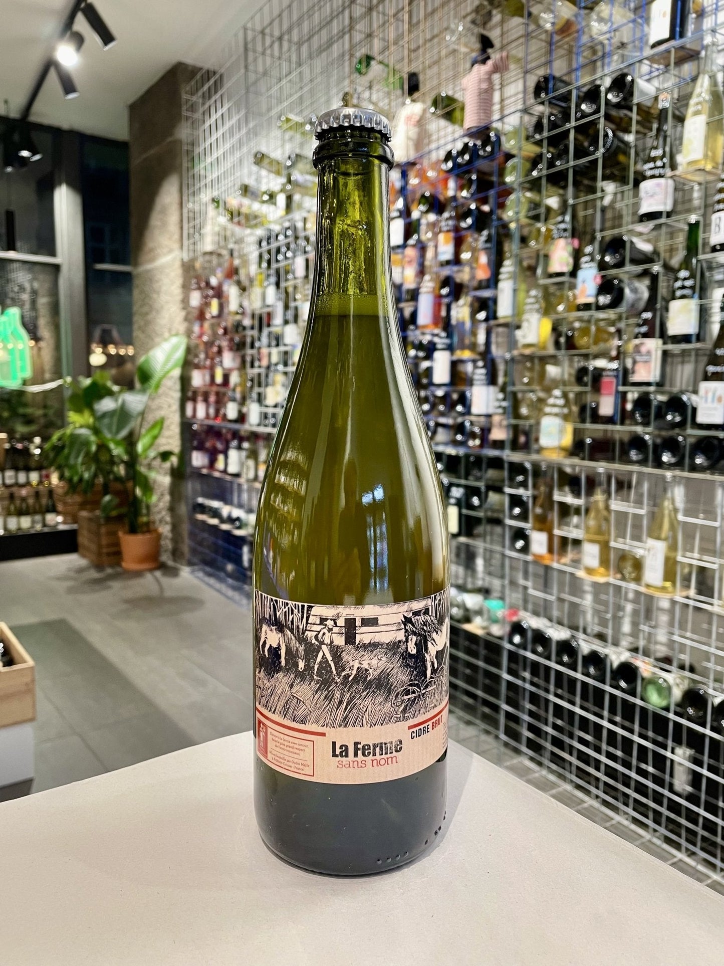 Cidre Brut 2022 - økologisk fransk cider - budovin.dk