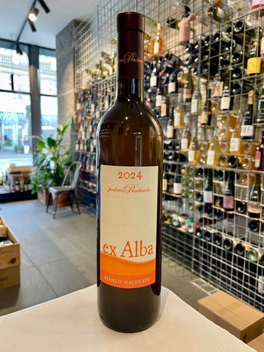 Ex Alba 2024 - budovin.dk