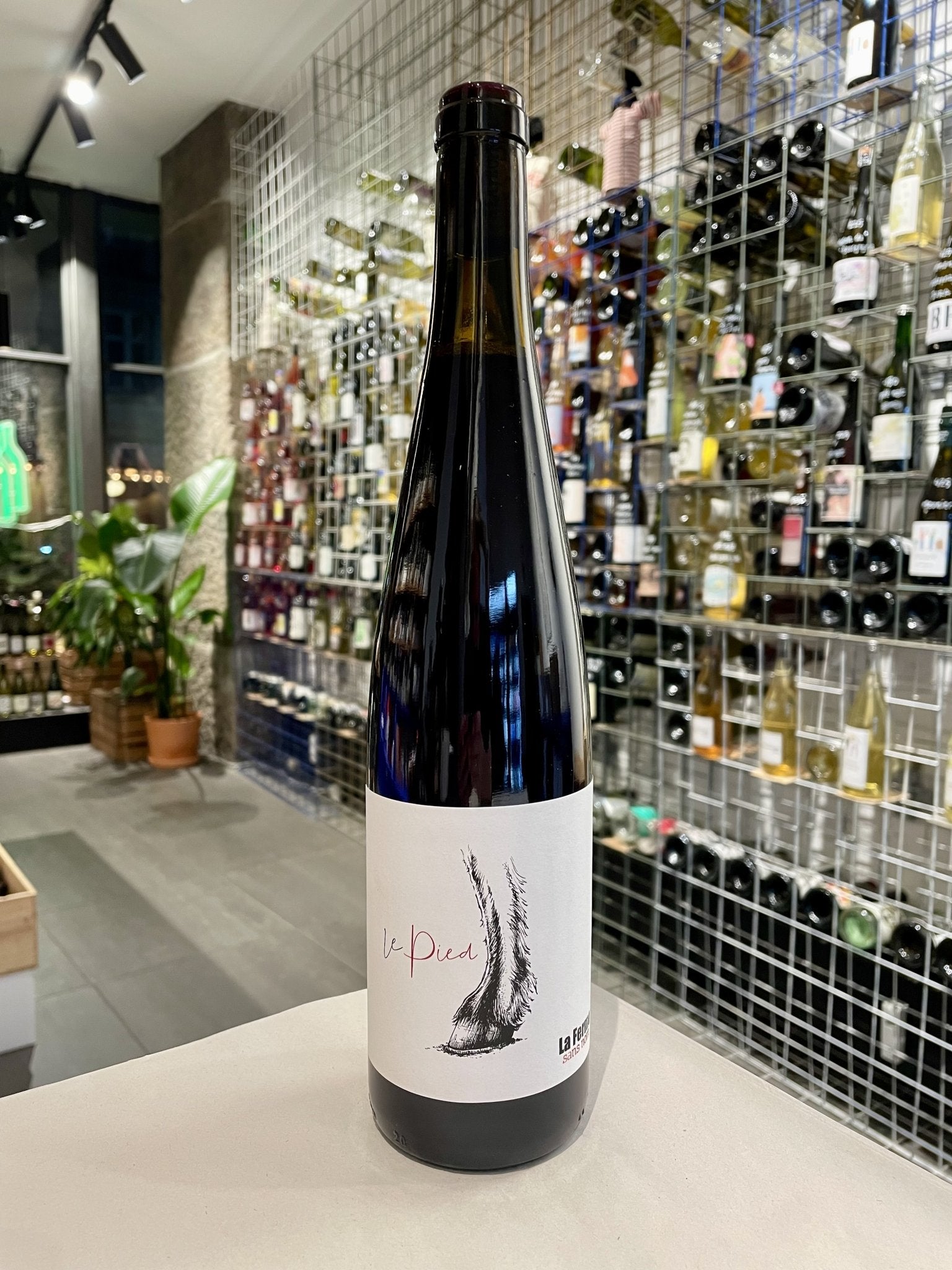 Le Pied 2022 AOP - Pinot Noir fra Alsace - budovin.dk