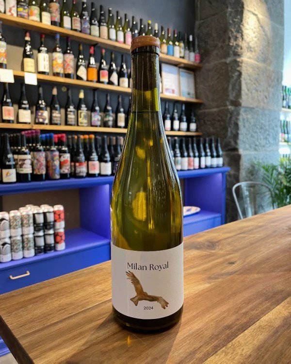 Milan Royal 2024 Sønderstrand - budovin.dk