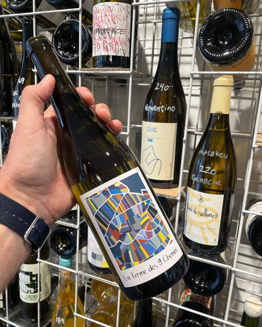 Montagne de Schiste 2023 Riesling - budovin.dk