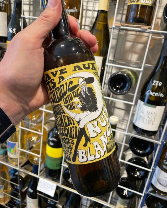 Nuit Blanche 2023/24 Roussillon - budovin.dk