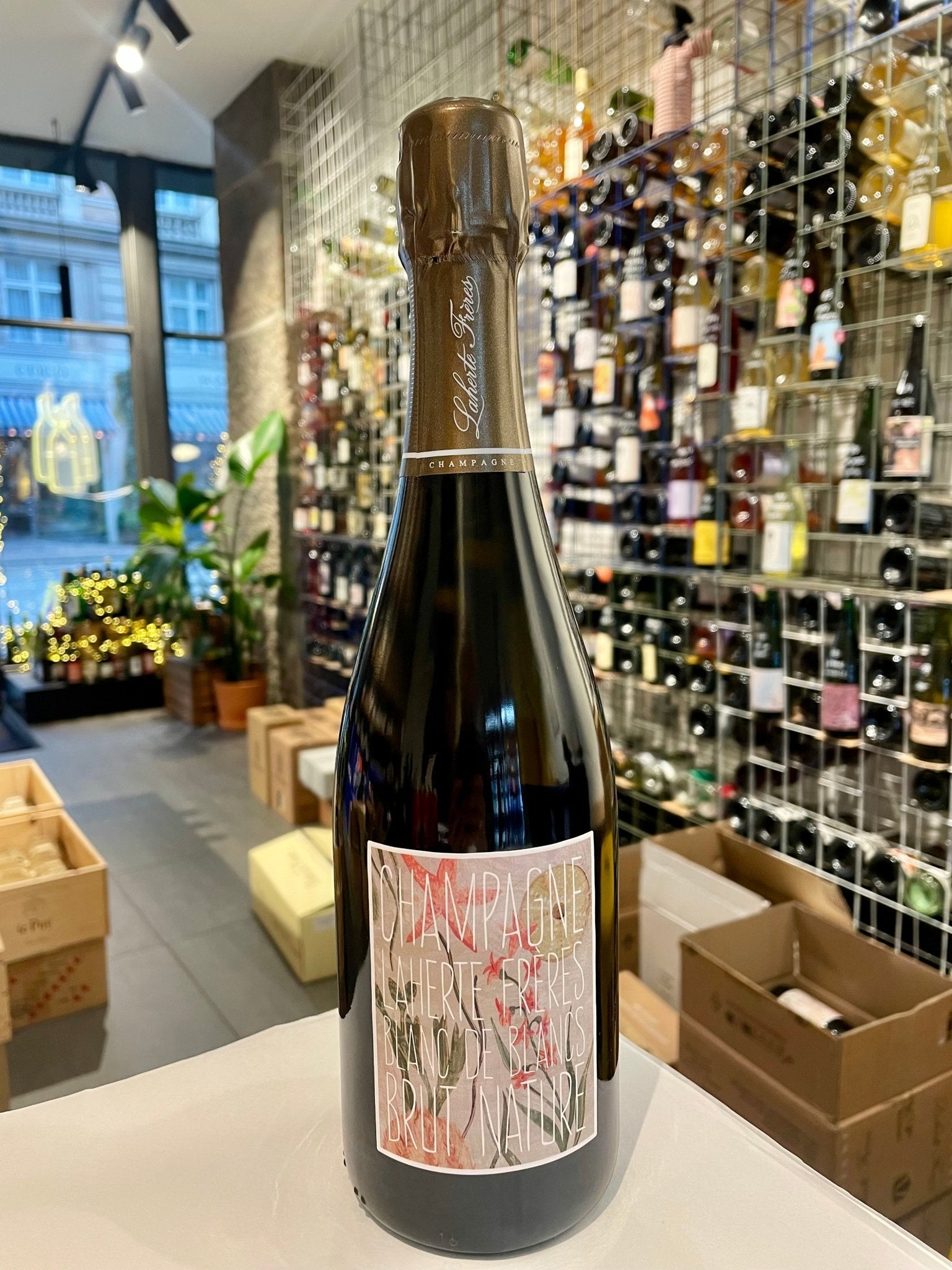 NV Blanc de Blancs - Brut Nature Champagne - budovin.dk