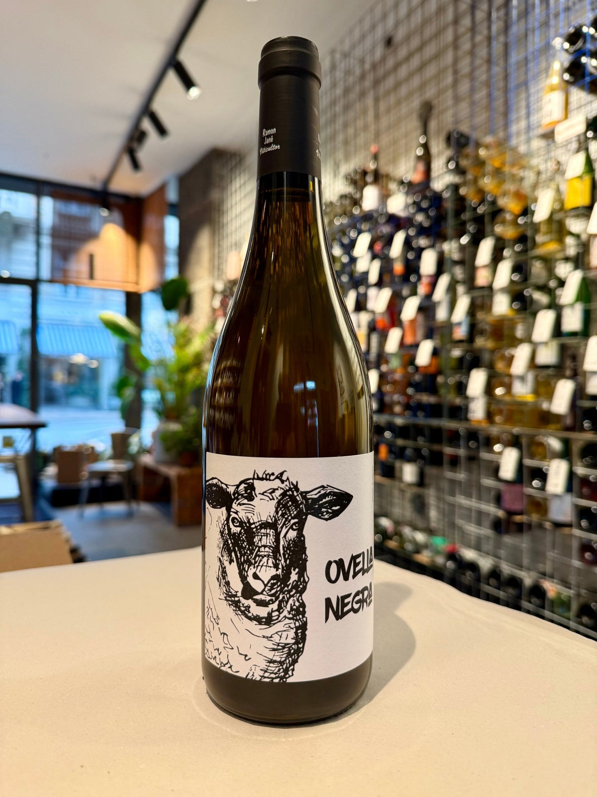 Ovella Negra 2025 - budovin.dk