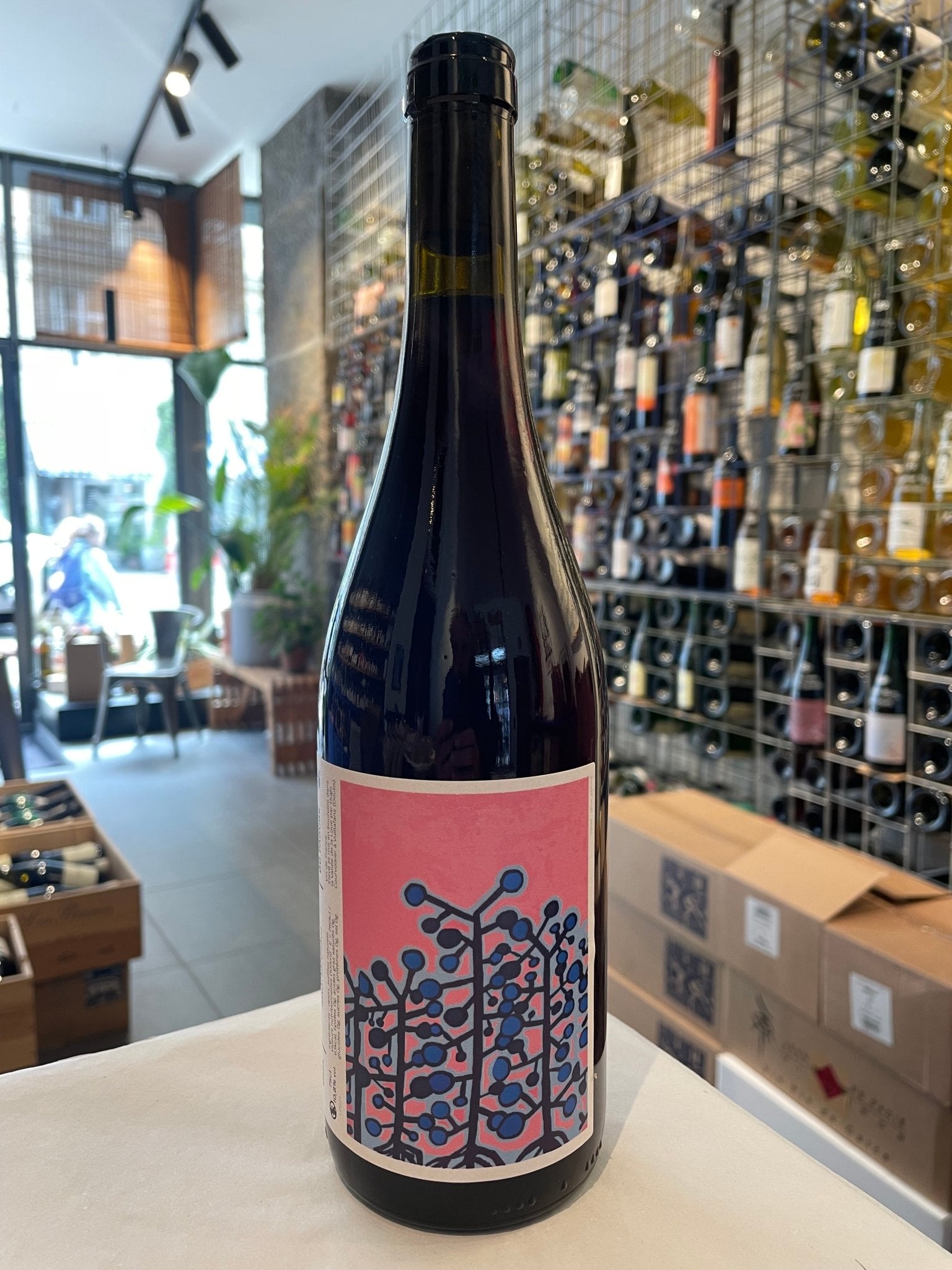Paresia 2024 - budovin.dk
