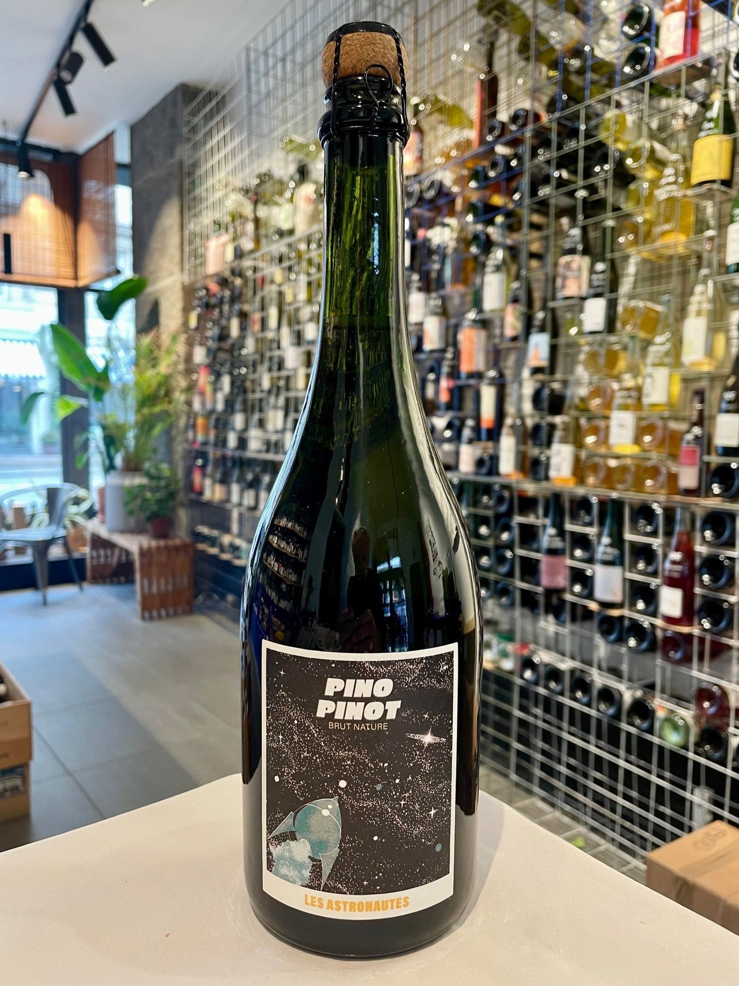 Pino Pinot Brut Nature 2023 - budovin.dk
