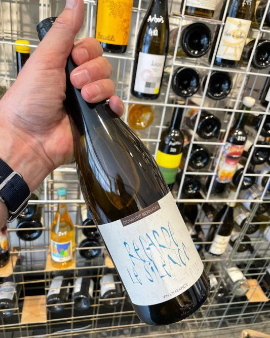 Regarde le silence Blanc 2021 - budovin.dk