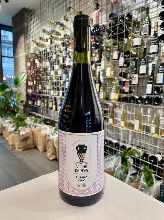 Rubino Vivo 2023 Merlot - budovin.dk