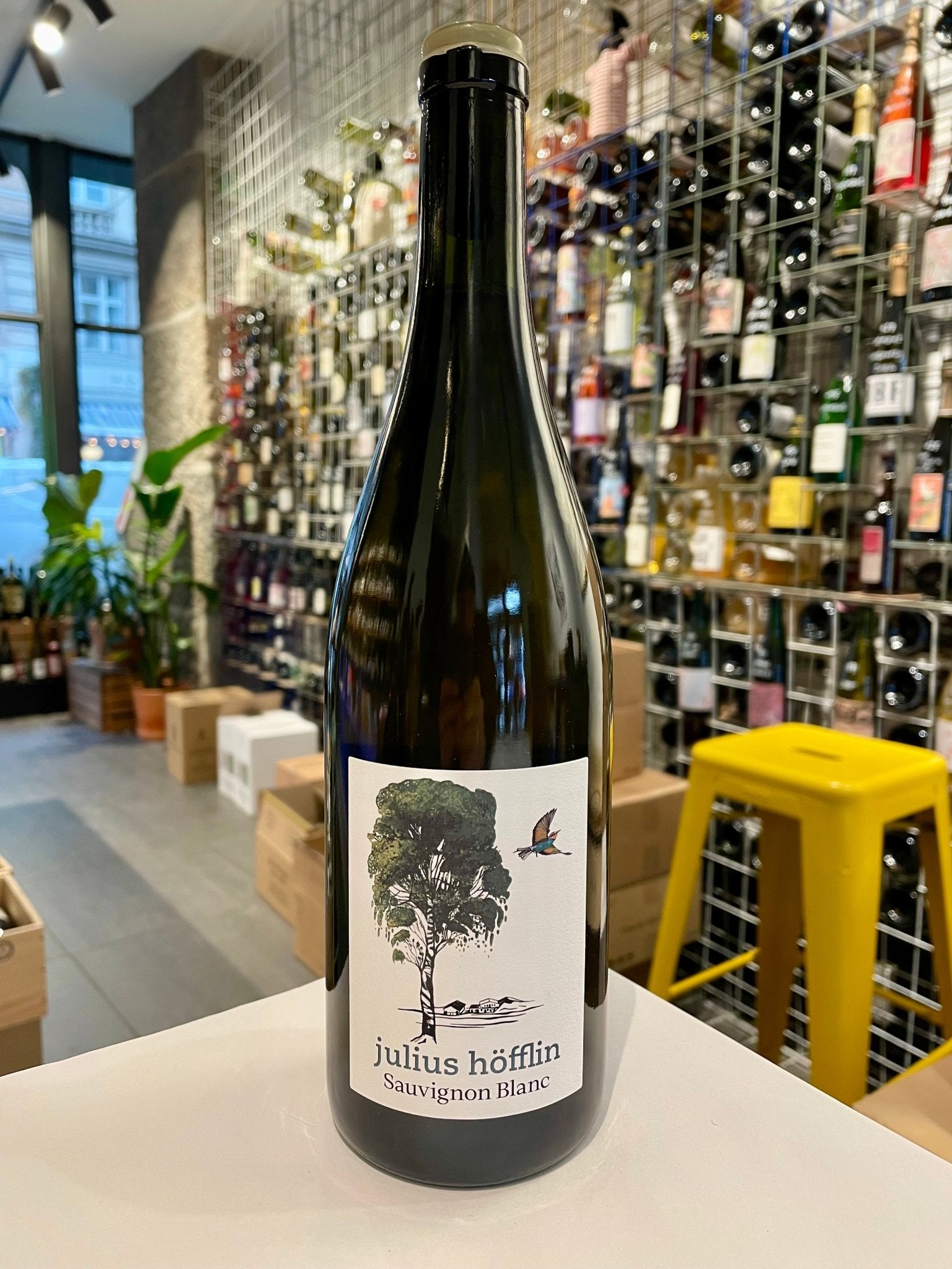 Sauvignon Blanc 2022 - budovin.dk