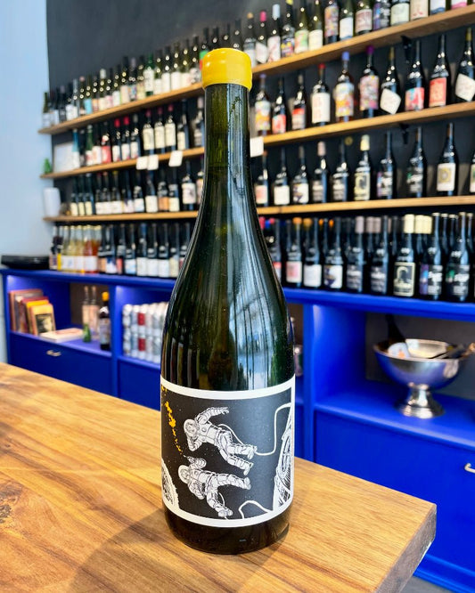 Torrontés 2023 - budovin.dk