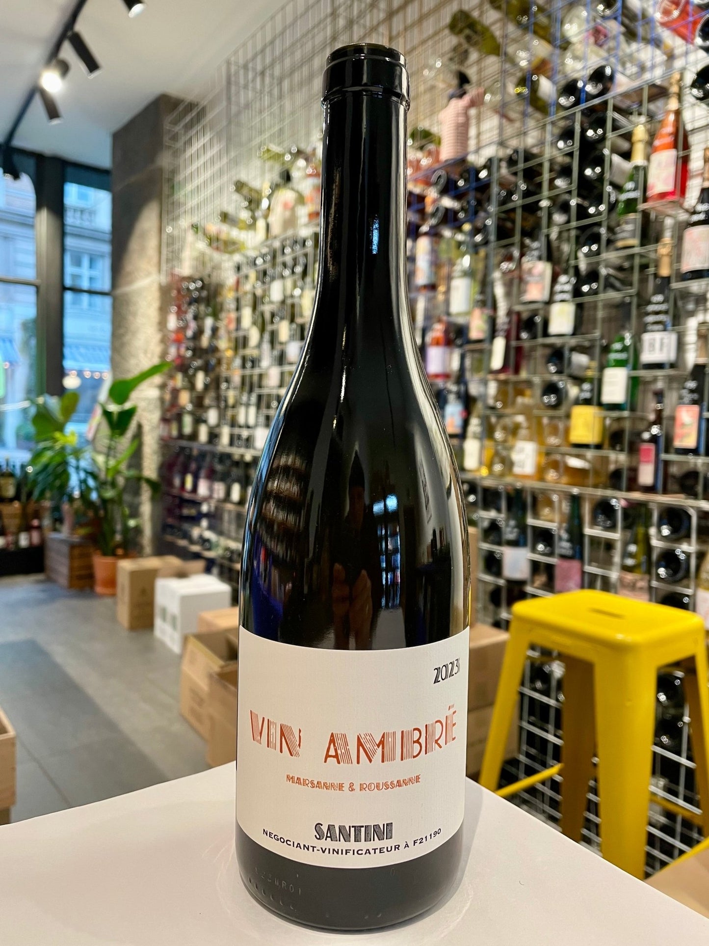 Vin Ambré 2023 - budovin.dk