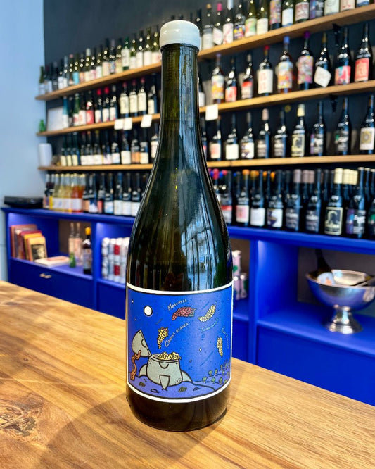 Vino Blanco 2024 - budovin.dk