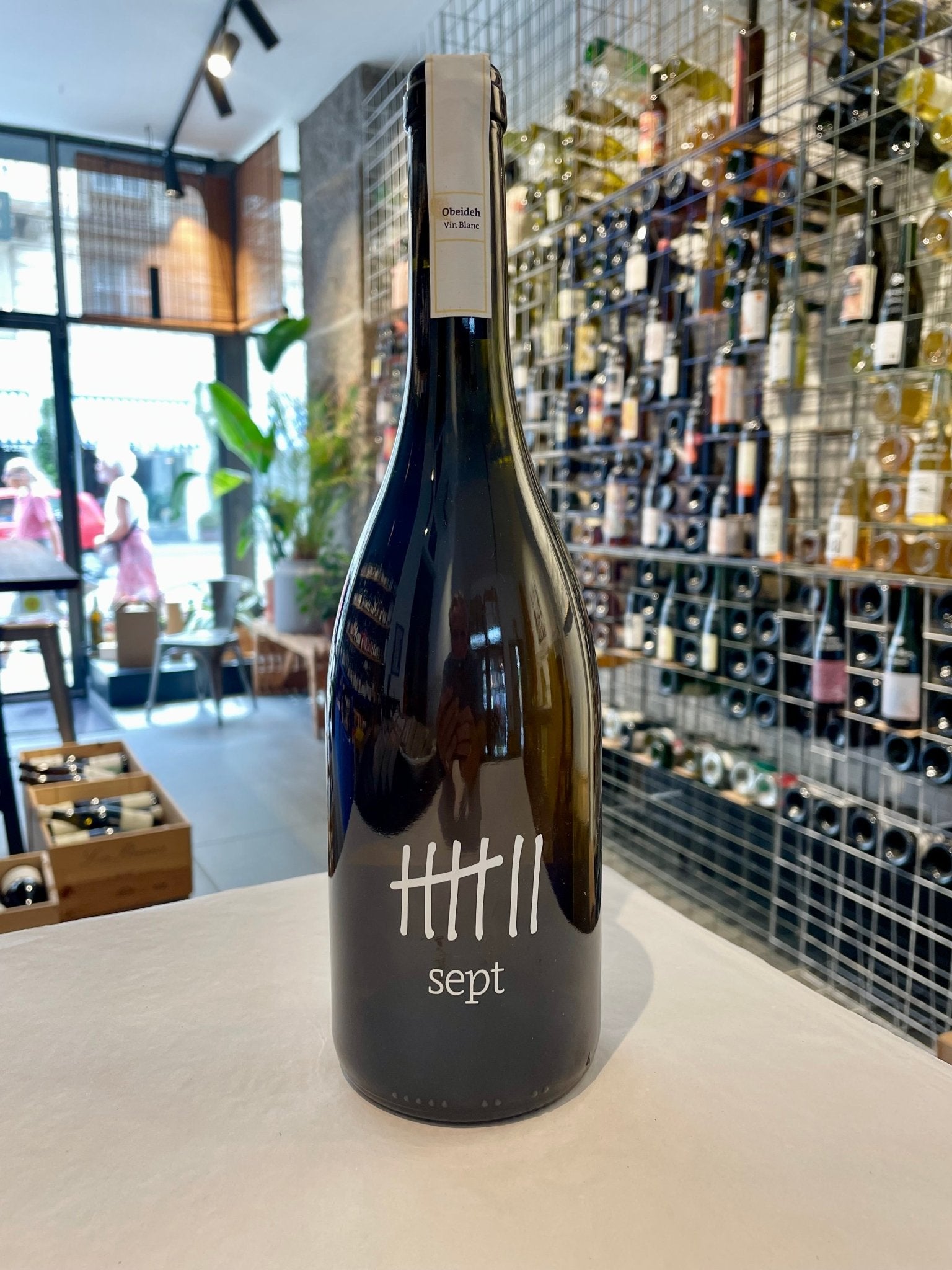 Viognier 2023 - budovin.dk