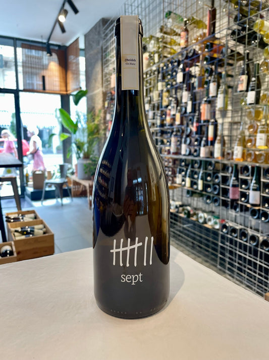 Viognier 2023 - budovin.dk