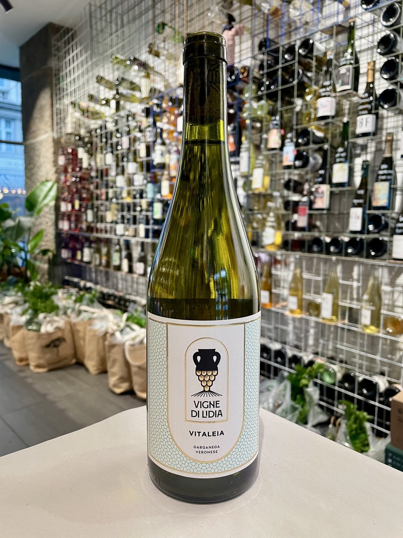 Vitaleia 2023 Garganega - budovin.dk