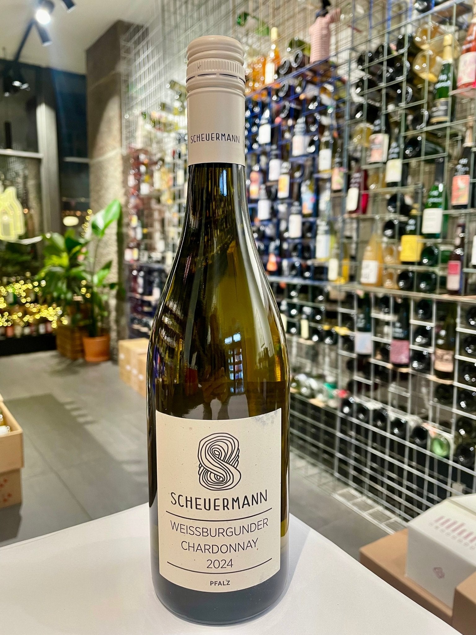 Weissburgunder & Chardonnay 2024 - budovin.dk